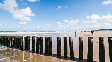 Houten paaltjes op het strand bij Kamperland